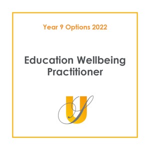 Education wellbeing practitioner
