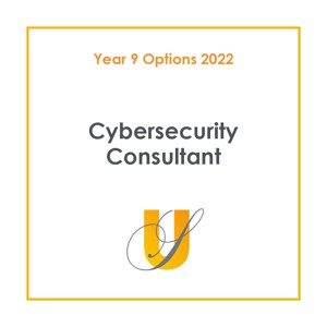 Cybersecurity consultant